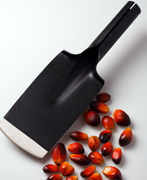 Fertilizantes